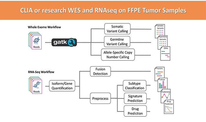 CLIA or research WES and RNAseq on FFPE Tumor Samples