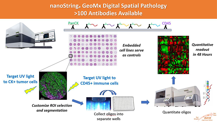 NanoString GeoMxDigital Spatial Pathology
