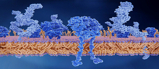 Multiplex IHC Data Visualization and Interpretation