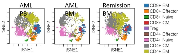 AML and Remission1