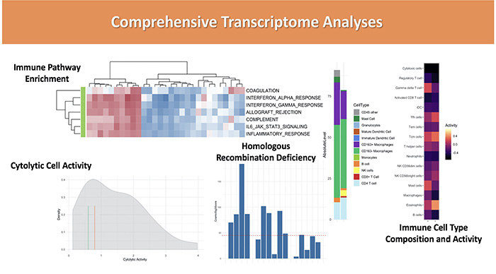 Comprehensive Transcriptome Analysis