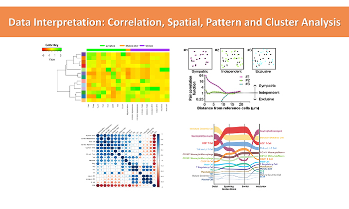 Correlations, Pattern analysis page