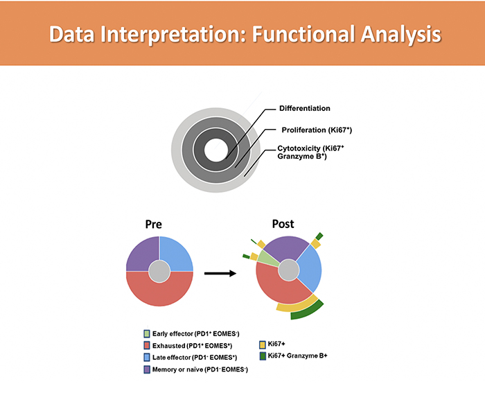 Multiplex IHC Data Visualization and Interpretation