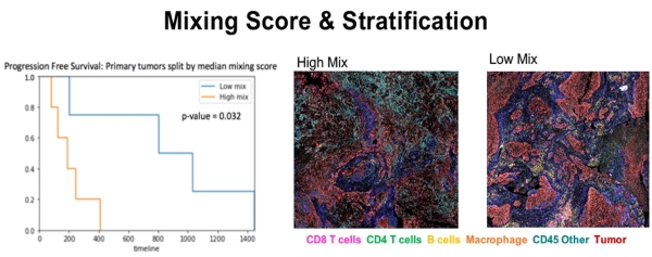 Mixing Score and Stratification 2